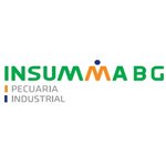 Insumma
